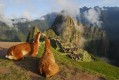 09-Machu Picchu