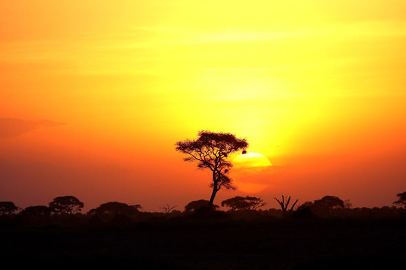 Кения, десять изображений