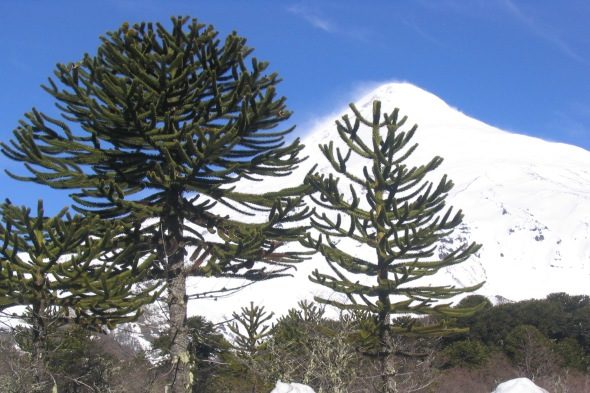 Die schrecklichen schneebedeckten Vulkans in Patagonien